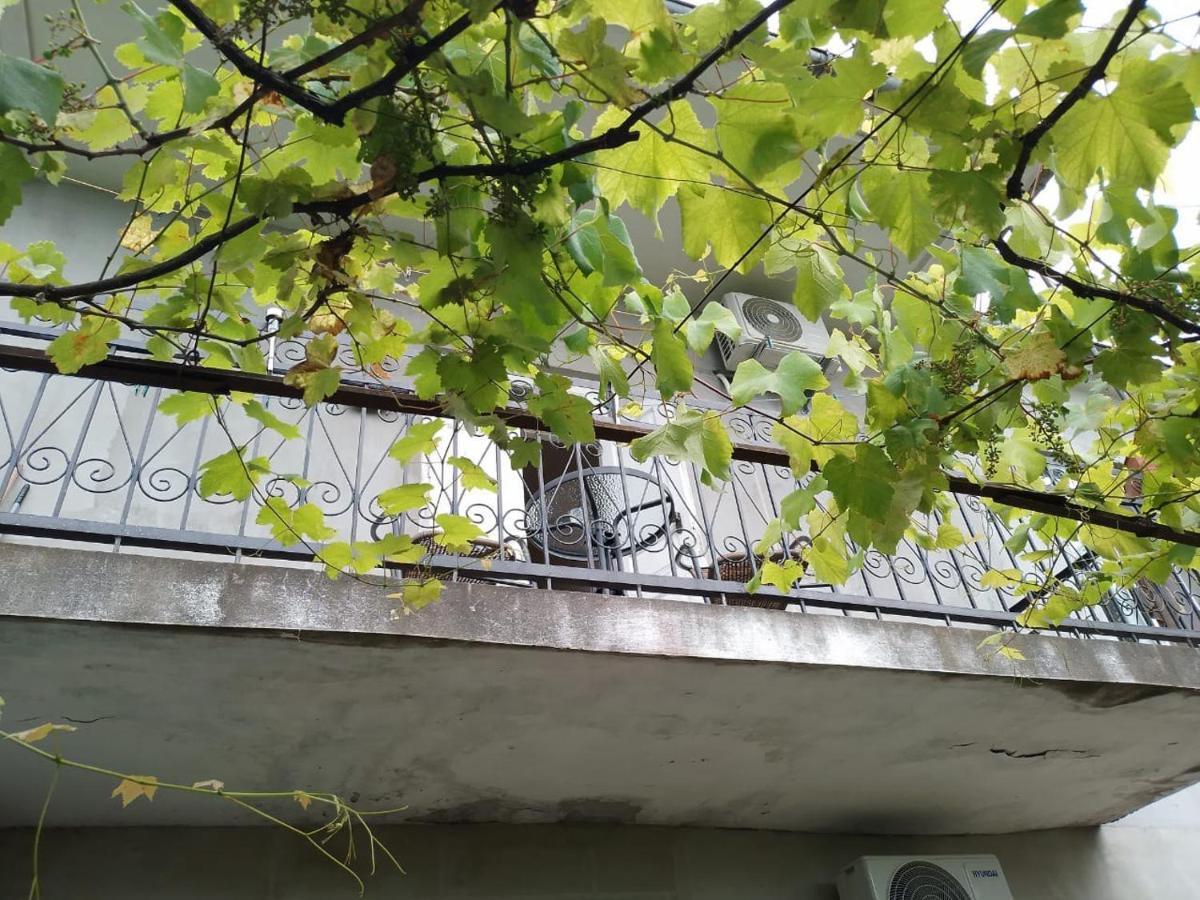 Merabi And Neli Guest House Makhindzsauri Kültér fotó