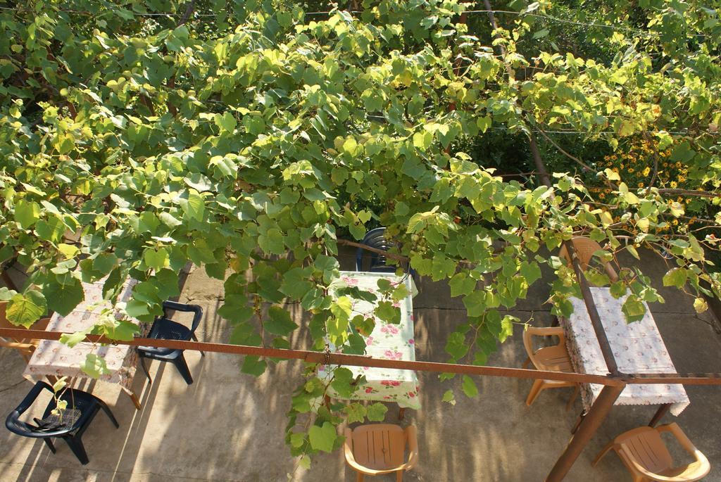 Merabi And Neli Guest House Makhindzsauri Szoba fotó