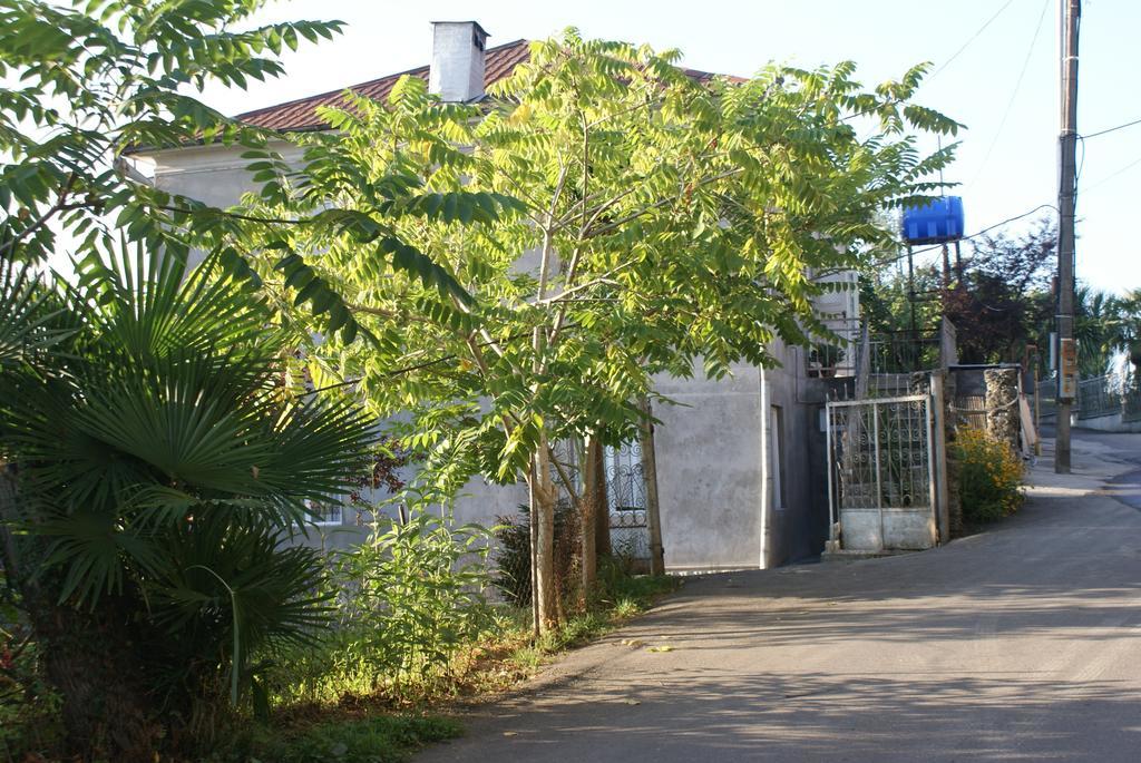 Merabi And Neli Guest House Makhindzsauri Kültér fotó
